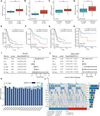 Comprehensive analysis of PRPF19 immune infiltrates, DNA methylation, senescence-associated secretory phenotype and ceRNA network in bladder cancer